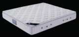 Queen Size /King Size 5-Star Hotel Bed Mattress (P382)