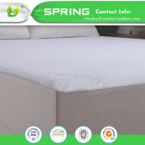 China Supplier Home Bedding Cotton and Polyester 100% Waterproof Mattress Protector Fitted Sheet