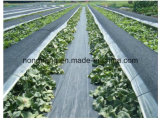 Top Quality 100GSM Polypropylene Woven Weed Control Fabric
