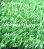 Sports Playground Plastic Grass Carpet (SUNJ-HY00003)