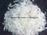 Washed White Goose Feather (2-4cm 4-6cm) for Bedding Lines and Furniture (GB/T17685-2016)
