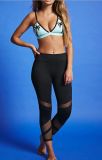 Lycra Fitness PRO-Activewear Active Wear Brazilian Yoga Pants
