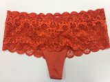 High Quality, Sexy Lace Underwear for Women