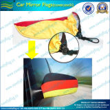 Car Side Mirror Cover, Custom Car Mirror Cover (L-NF13F14003)