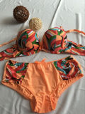 Summer Time Stocked Colorful Bra and Panty (CS16906)