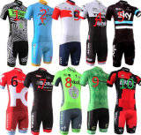 New Variety of Team Version Cycling Jersey