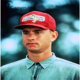 Classic Movie Forrest Gump Snapback Cap/Hat with 3D or Flat Embroidery