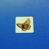Square Offset Printed Badge, Epoxy-Dripping Butterfly Badge (GZHY-OP-020)