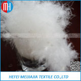750 Fp 90%/95% White Goose or Duck Down Feathers Wholesale