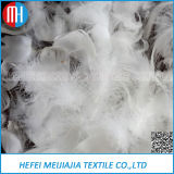 Bulk White Duck Feathers for Pillow