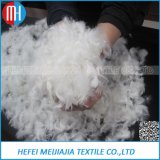 Wholesale Goose and Duck Down Feather
