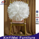 Chair Cover, Cover for Chair, Chair Cloth for Party (XYM-C018)