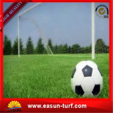 Soccer Sport Synthetic Grass Carpet Artificial Grass for Artificial Grass