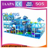 Specific Design & Interesting Children Indoor Playground Equipment (QL-3098D)