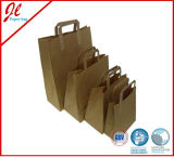 Printed Plastic/ Paper Packaging Bag / Custom Design Shopping Bags