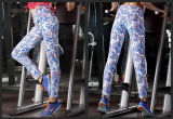 Womens Leggings Fitness Colorful Antibacterial Soft Elastic Waistband Yoga Pants