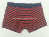 Yarn Dye Red Black Strip Cotton Children Underwear Boy Boxer Short Boy Brief