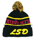 Free Sample Style Fashion Knitted Beanie Hat Winter Cap Embroidered Cap (S-1017)