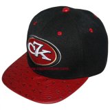 2016 New Design Snapback Hats, Baseball Caps (cw-0795)