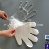 Food Grade Disposable Polythene Gloves, HDPE Transparent Clear Gloves