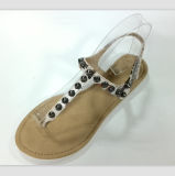 Summer Latest Design Model Ladies T-Shape Sandal with Rivet