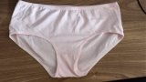 Wholesale Women's Cotton Panties Ladies Underwear Briefs