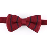 Fashion Polyester Knitted Men's Bow Tie (YWZJ 33)