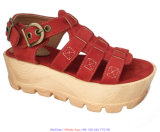 Flat Elastic Fashion EVA Foam Sandal Women Gladiator Shoes