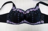 New Arrival Sexy Lace Big Size Bra for Lady (CS9927)