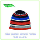 New Promotional Beautiful Multicolor Embroidery Knit Hat