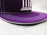 Customized Wholesale Embroidery Hip Hop Hats (LP003-A)