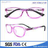 2016 New Tr Optical Frame and Simple Style Optical Frame