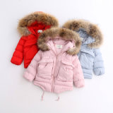 Girl Cotton-Padded Clothes with Fur Collar for Winter Coat