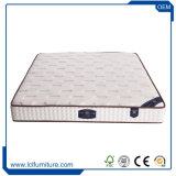 Environmentally Friendly Top Rated Coil Pocket Spring Mattress