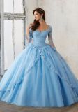Long Sleeves Quinceanera Dresses Lace Appliques Ball Gowns H1867