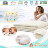 Luxury Cotton Cover Hot Sale Wool Comforter