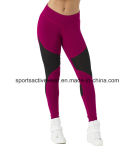 Newest Polyester Spandex Compression Wear Women Yoga Pants