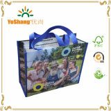 Customized Laminated Eco Fabric Tote Non-Woven Shopping Bag, Recyclable PP Non Woven Bags