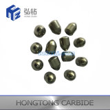 Blank Buttons of Tungsten Carbide for Oversea