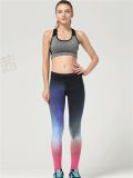 Women Sexy Fashion Printing Gym Sports Pants Fitness Wear