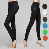 China Supplier Sexy High Elasticity Training Gym Yoga Fitness Women Pants