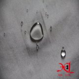 40D Nylon Silver Shiny Waterproof Fabric for Jacket/Winter Jacket
