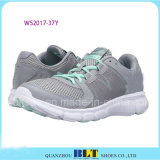 Colourful Training Sport Shoes with Shoeslace