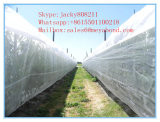 HDPE Agriculture Anti Insect Netting