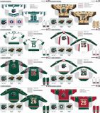 Customized American Hockey League Houston Aeros Hockey Jersey