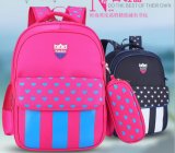Premium School Backpack Bag/Spring School Bag/Autumn School Bag/School Student Bag/School Backpack (SGS/BSCI/RoHS/ISO9001)