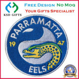 Popular Fabric Garment Accessories /Custom Embroidered Patch