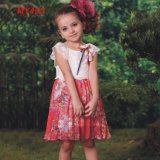 Cute Fashion Smocked Designer Short Mini Children Dresses for Girls