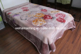 Raschel Printing Mink Polyester Blanket (MQ-LAPB001)