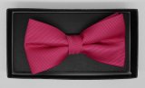 New Design Fashion Men's Woven Bow Tie (DSCN0045)
